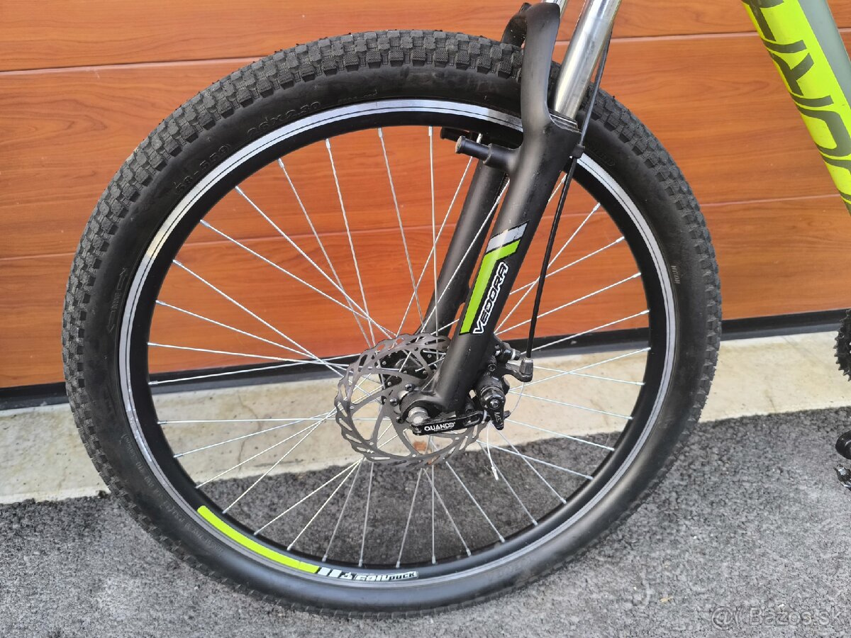 Vedora Camouflage - 5