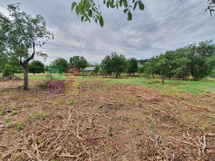 Predaj pozemky 7998 m2, Nitra- Čermáň, šírka 37m, všetky IS - 5