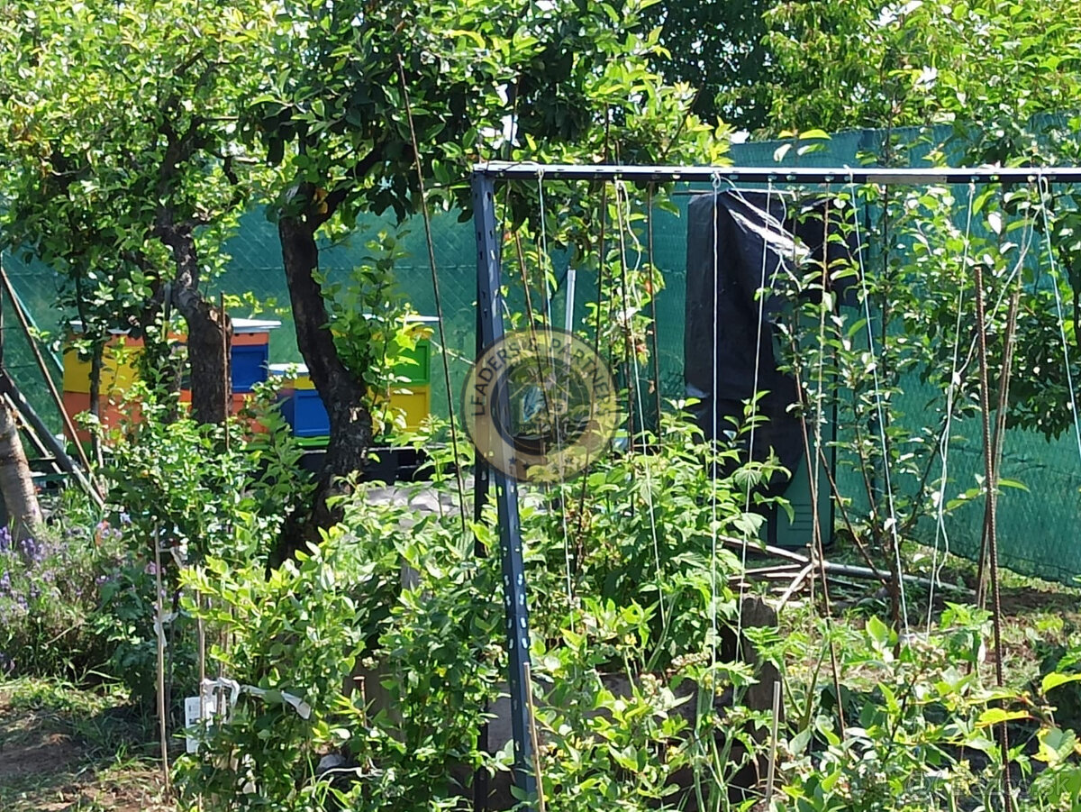 Na predaj záhradka v Modranke 250m2 - 5