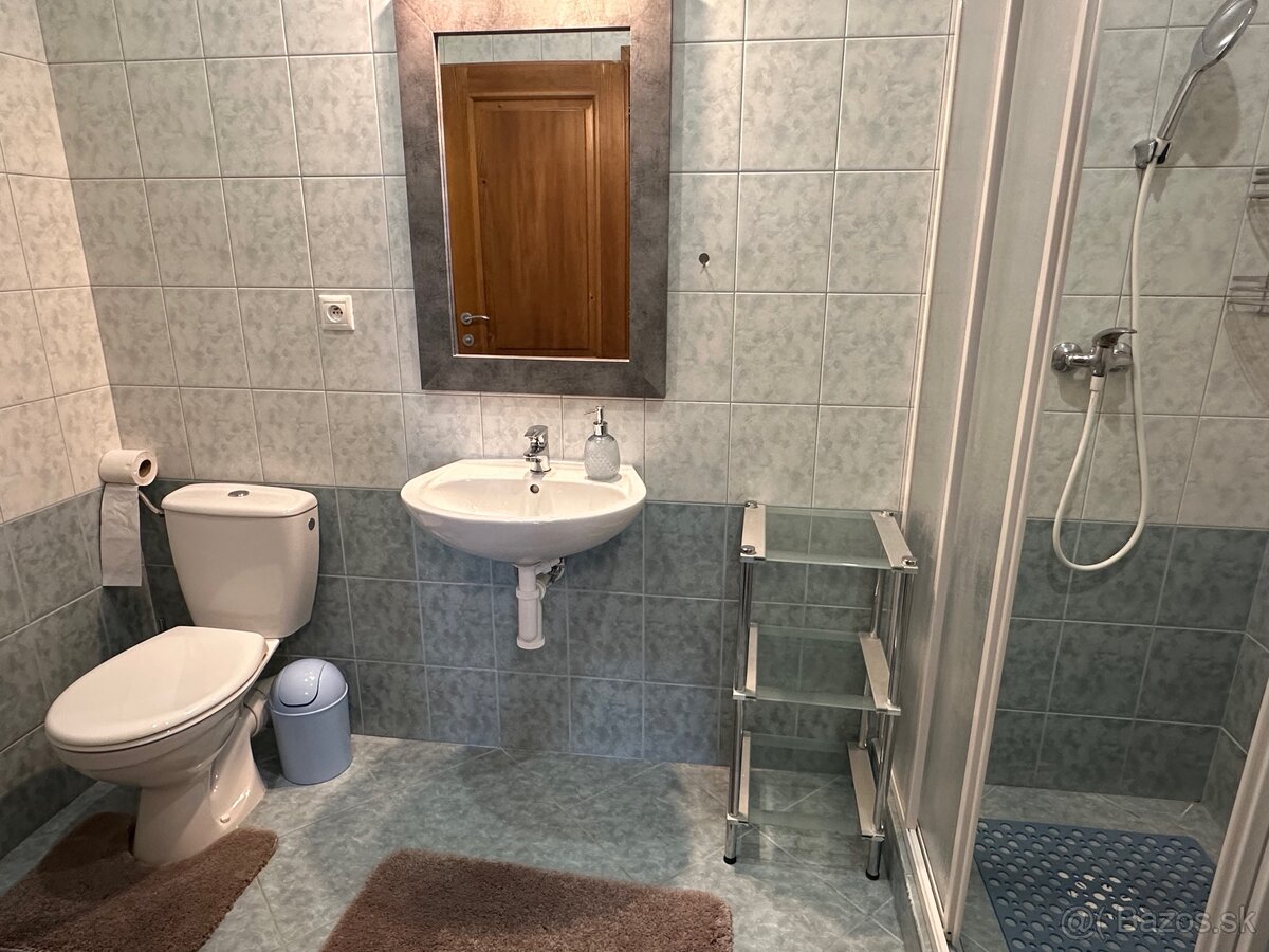 Prenájom 1-izbový byt v Oščadnici - 5