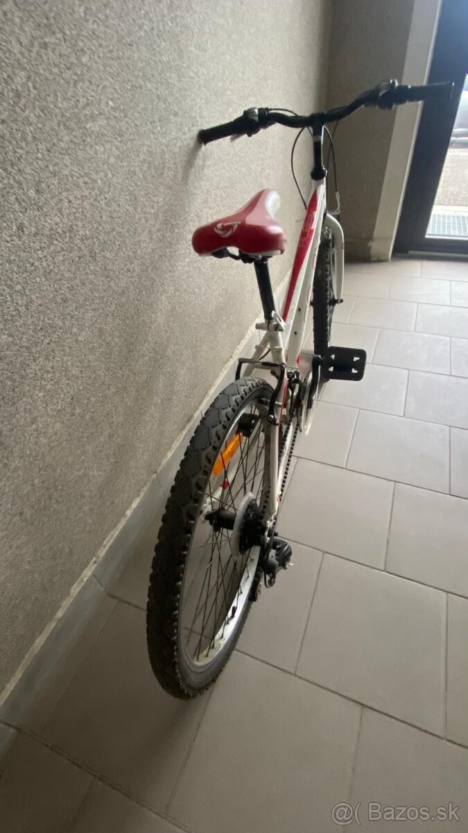 Bicykel Galaxy Ruby - 5