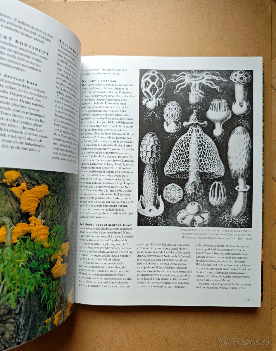 HUBY - VEĽKÁ ENCYKLOPÉDIA - 5