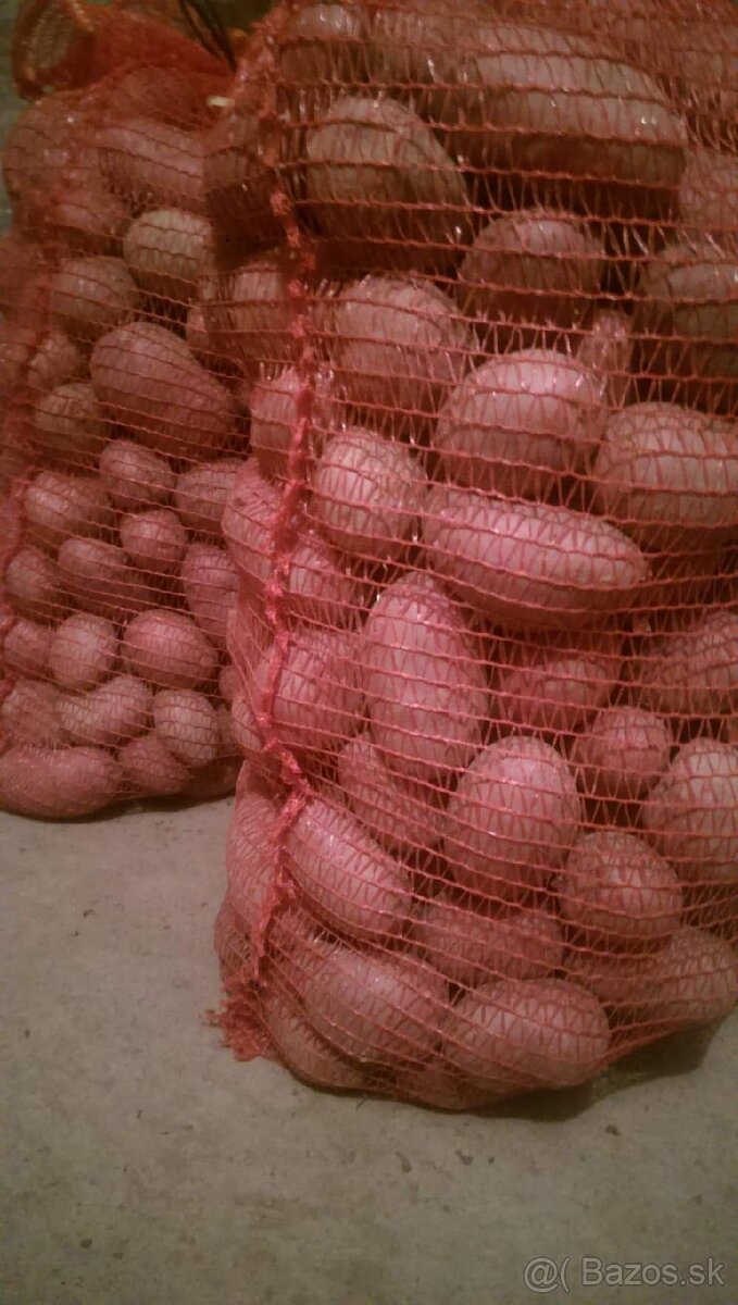 domace zemiaky red anna - 5