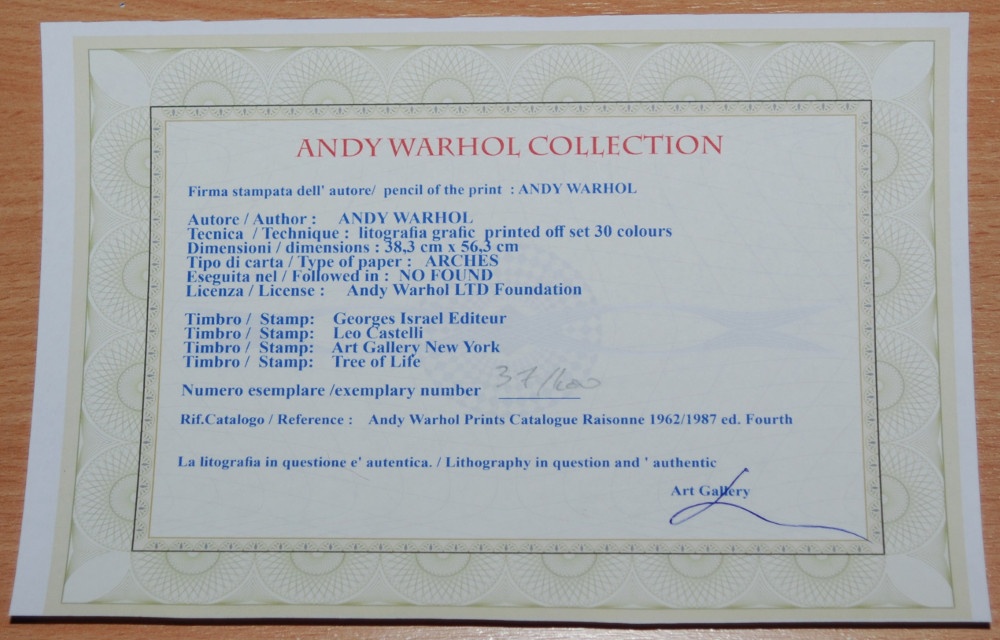 OBRAZ - Litografia - Andy Warhol - Franz Kafka - 5