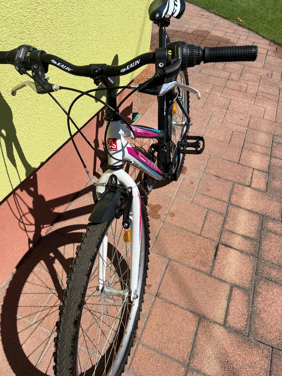 Dámsky bicykel - 5