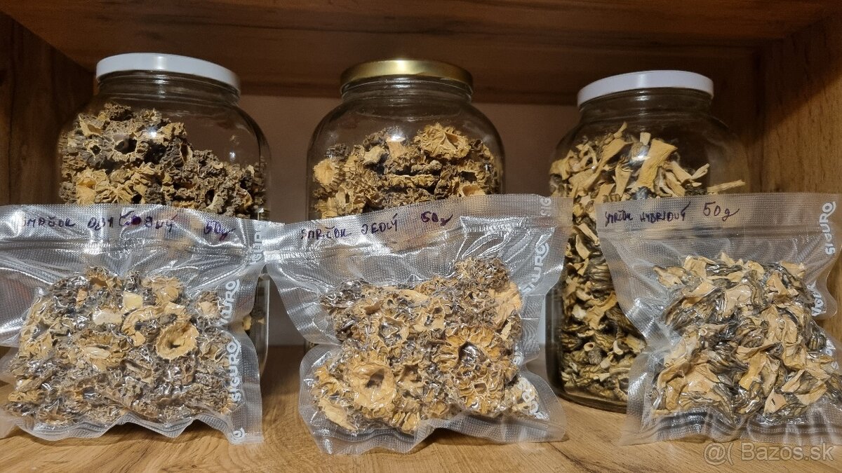 Sušené hríby/huby - 5