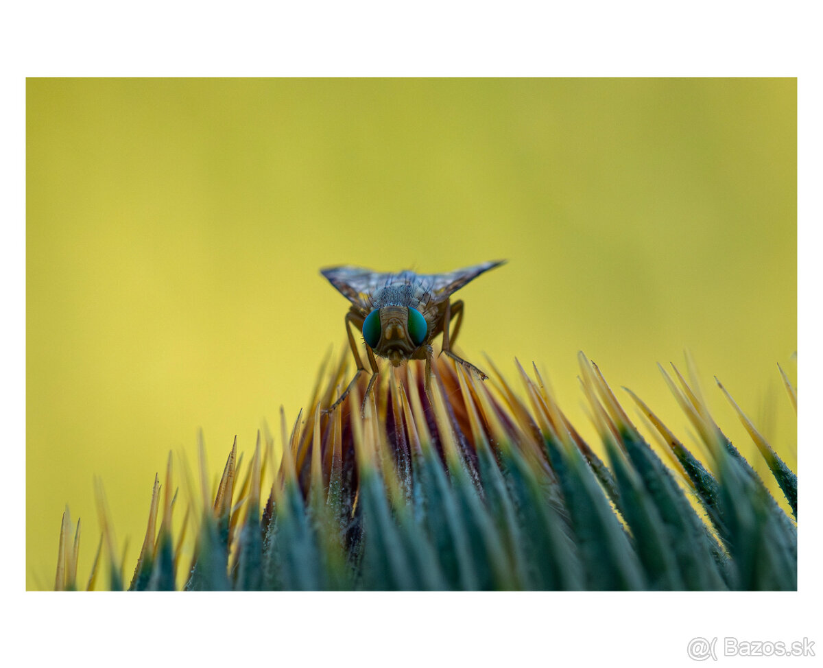 Laowa 60mm f2.8 2x macro objektív Sony FE - 5