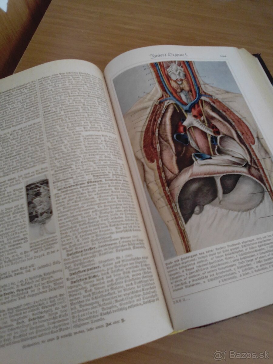 Encyklopédie Mix - Nemecké, české - 5