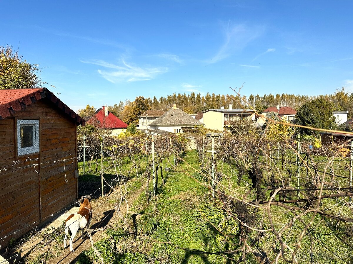 Na predaj dom s veľkým pozemkom 1216m2 Ivanka pri Dunaji - 5