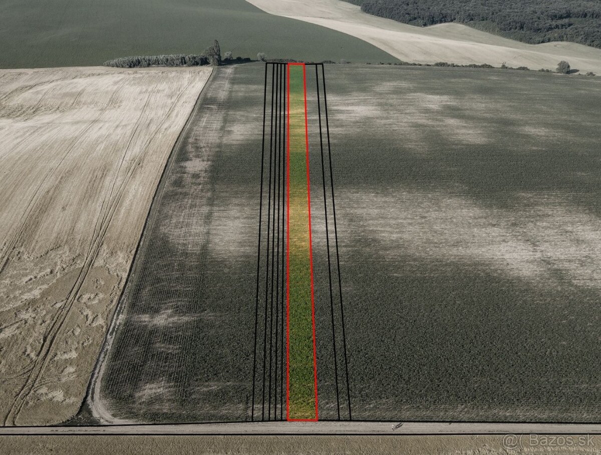 Pastuchov (Hlohovec) - 9.956 m2 ORNÁ PÔDA v komasácii - 5