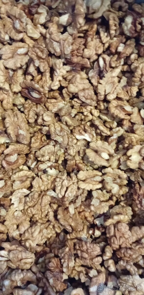 Orechy tohtoročné vlašské - 5