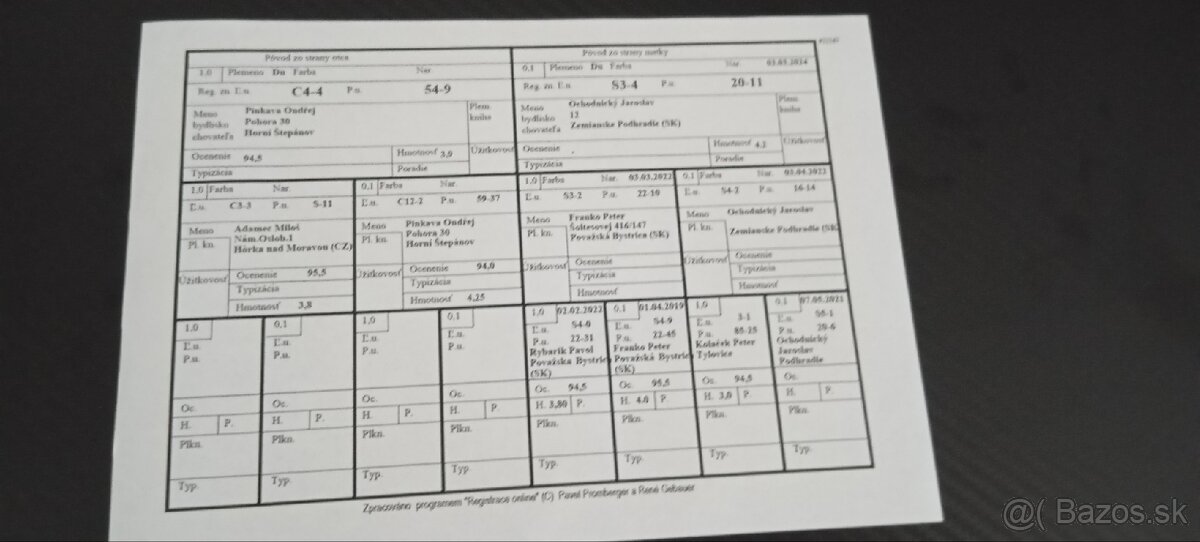 Durínsky králik - 5