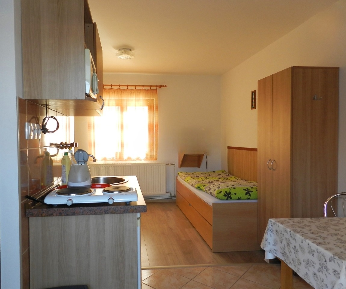 Penzión so samostatným obchodným priestorom vo Veľkom Mederi - 5