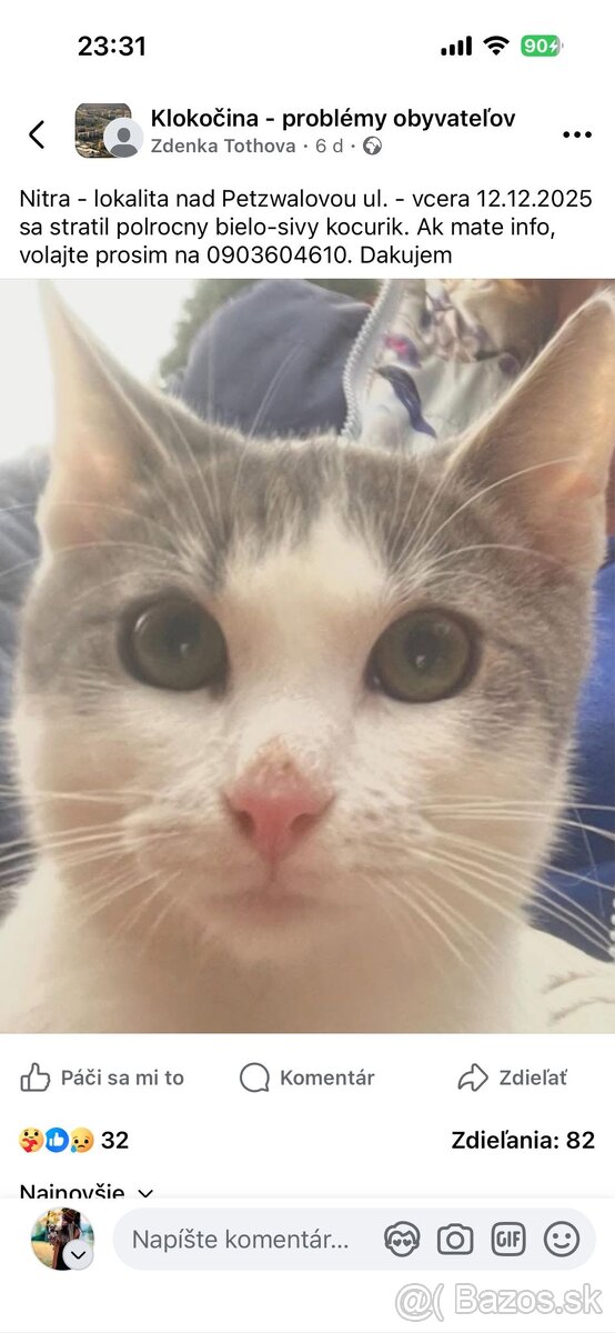 Stratil sa kocúrik Leo v Nitre - 5