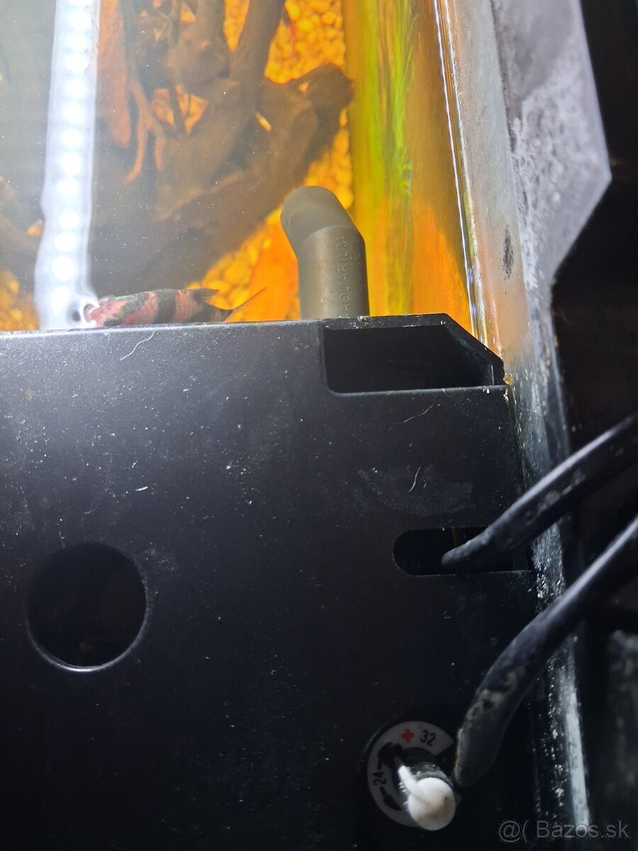 Akvárium javel parádna cena polovicu ušetríte,,,, - 5