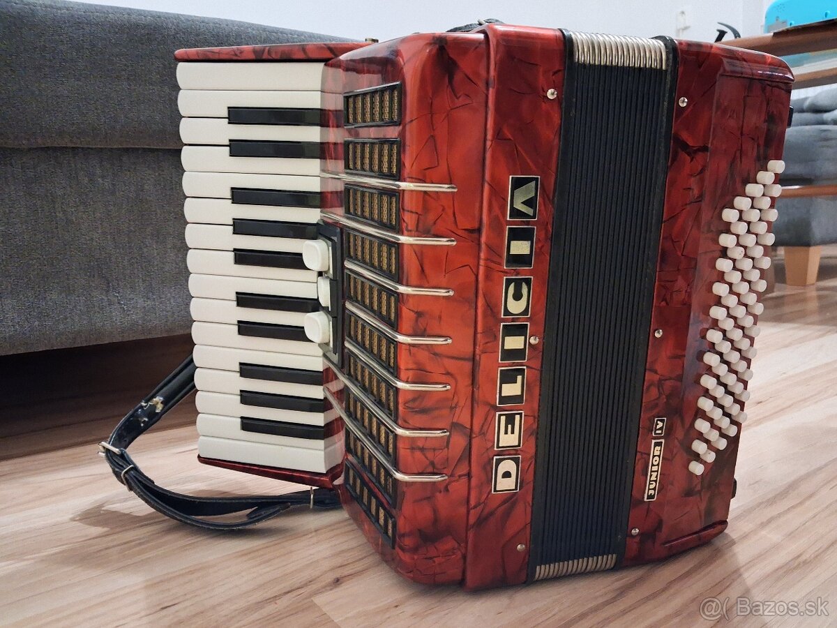 Predam zanovny akordeon pre zaciatocnika... - 5