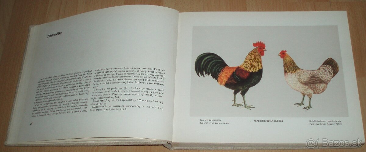 Atlas plemien hydiny - 5