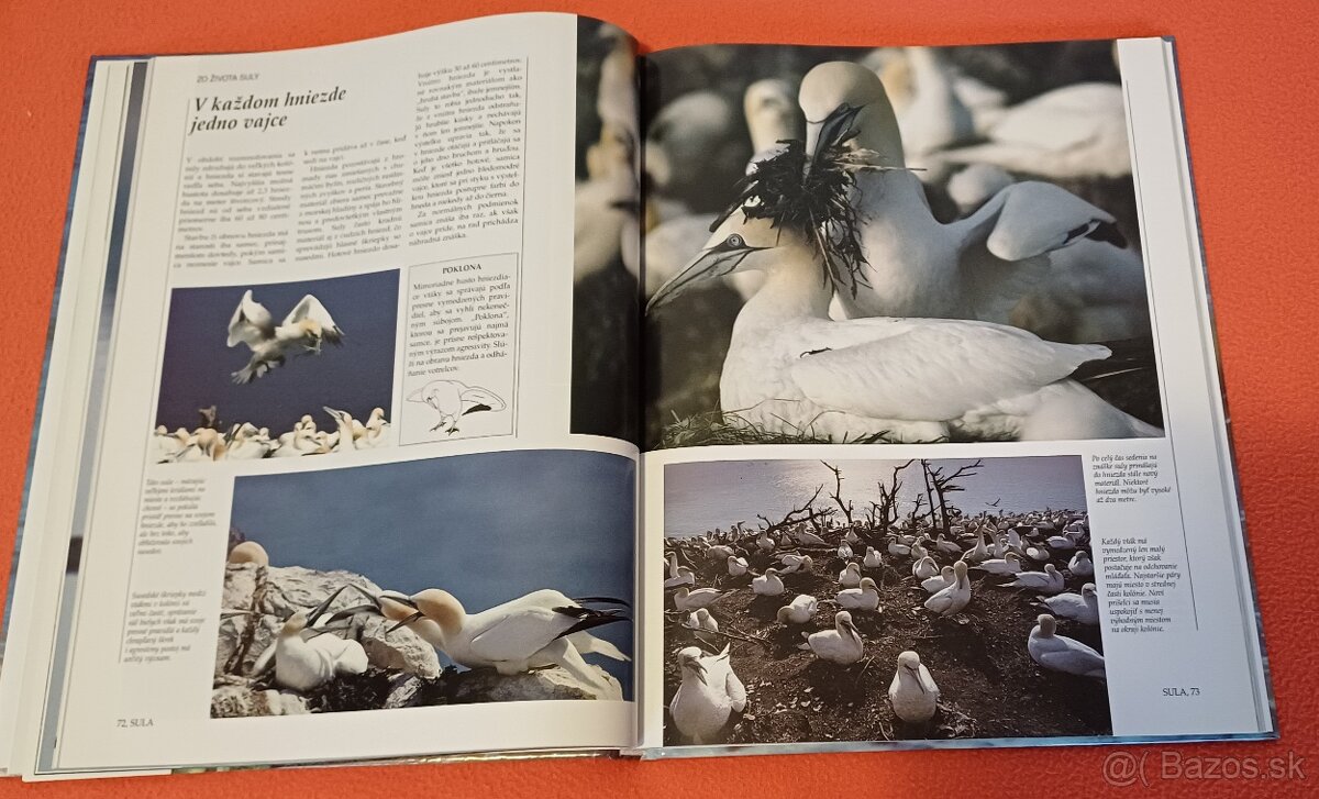 Morský breh-prírodovedná publikácia,Larousse, 100% - 5