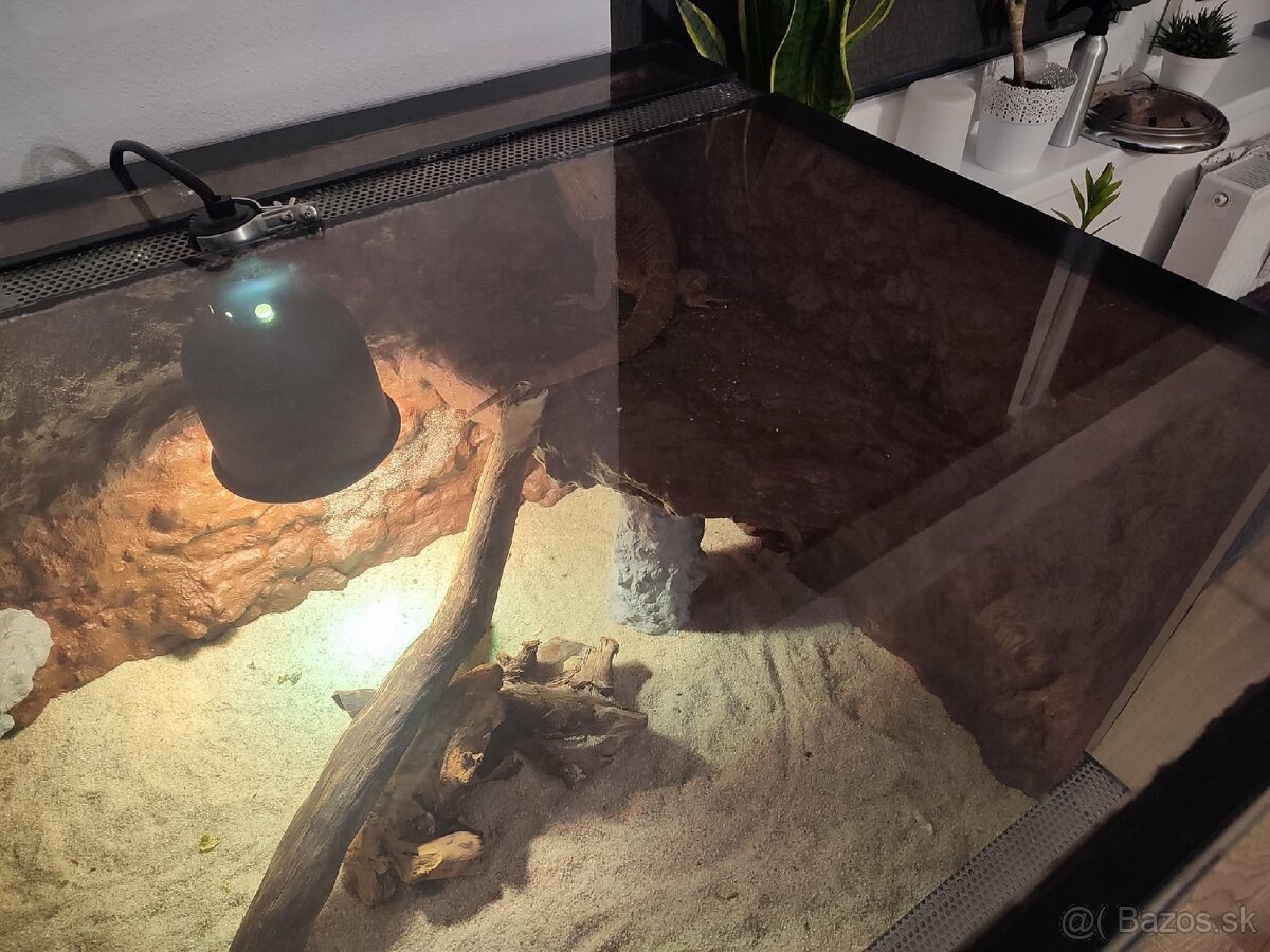 Predám terarium - 5