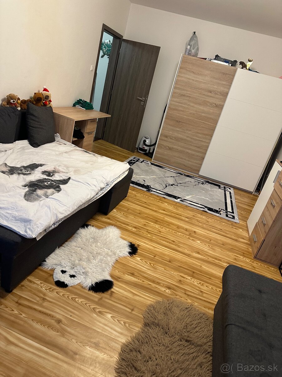 Krásny veľký byt - 5