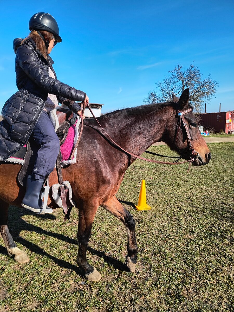 Športový pony s PP - 5