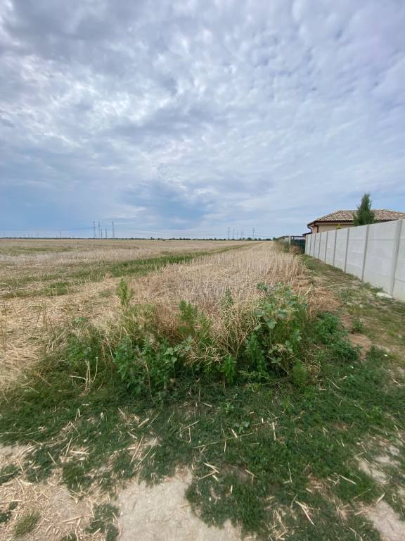 ASSENZIO – investícia do budúcna – orná pôda 2,54 ha, Most p - 5