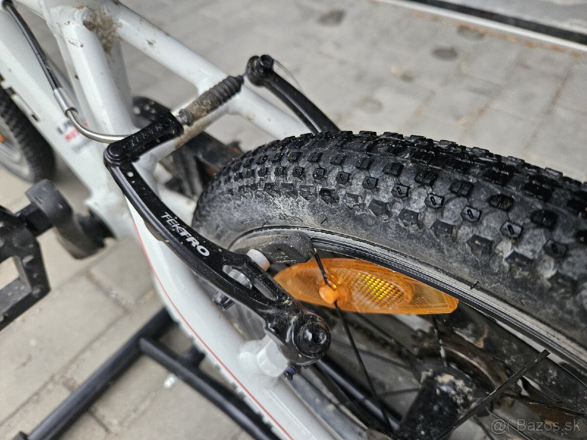 Author record 16" - 5