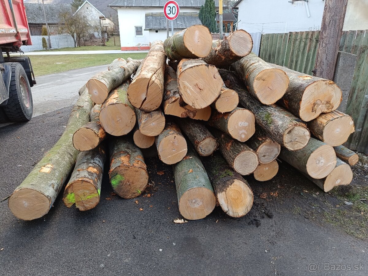 Tvrdé palivové drevo - 5