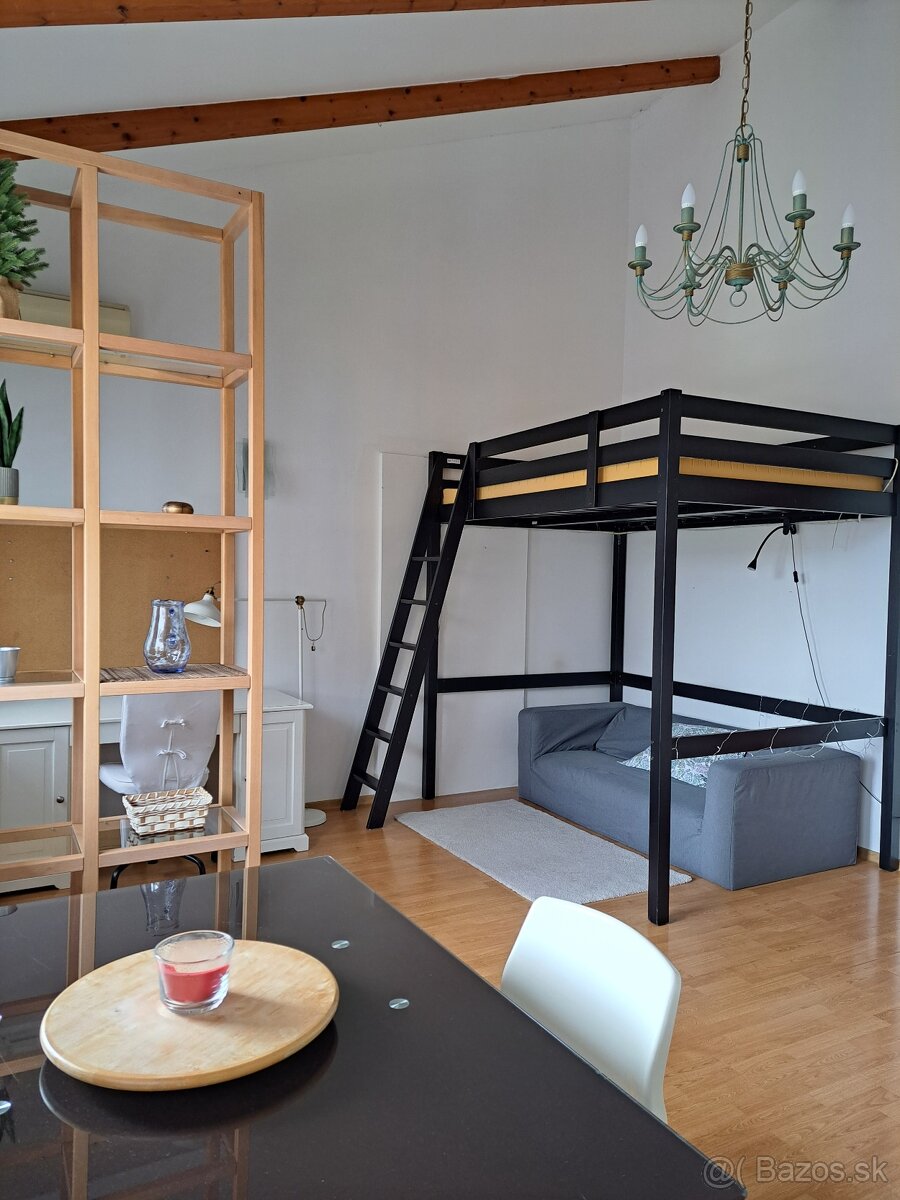 VEĽKÁ IZBA s vysokým stropom - 5