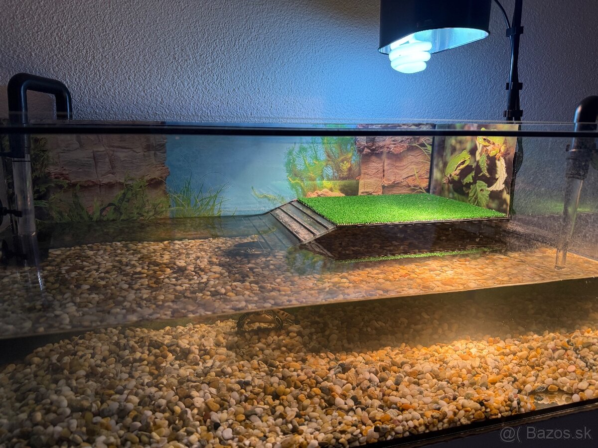 Korytnačka s vybavením - 5