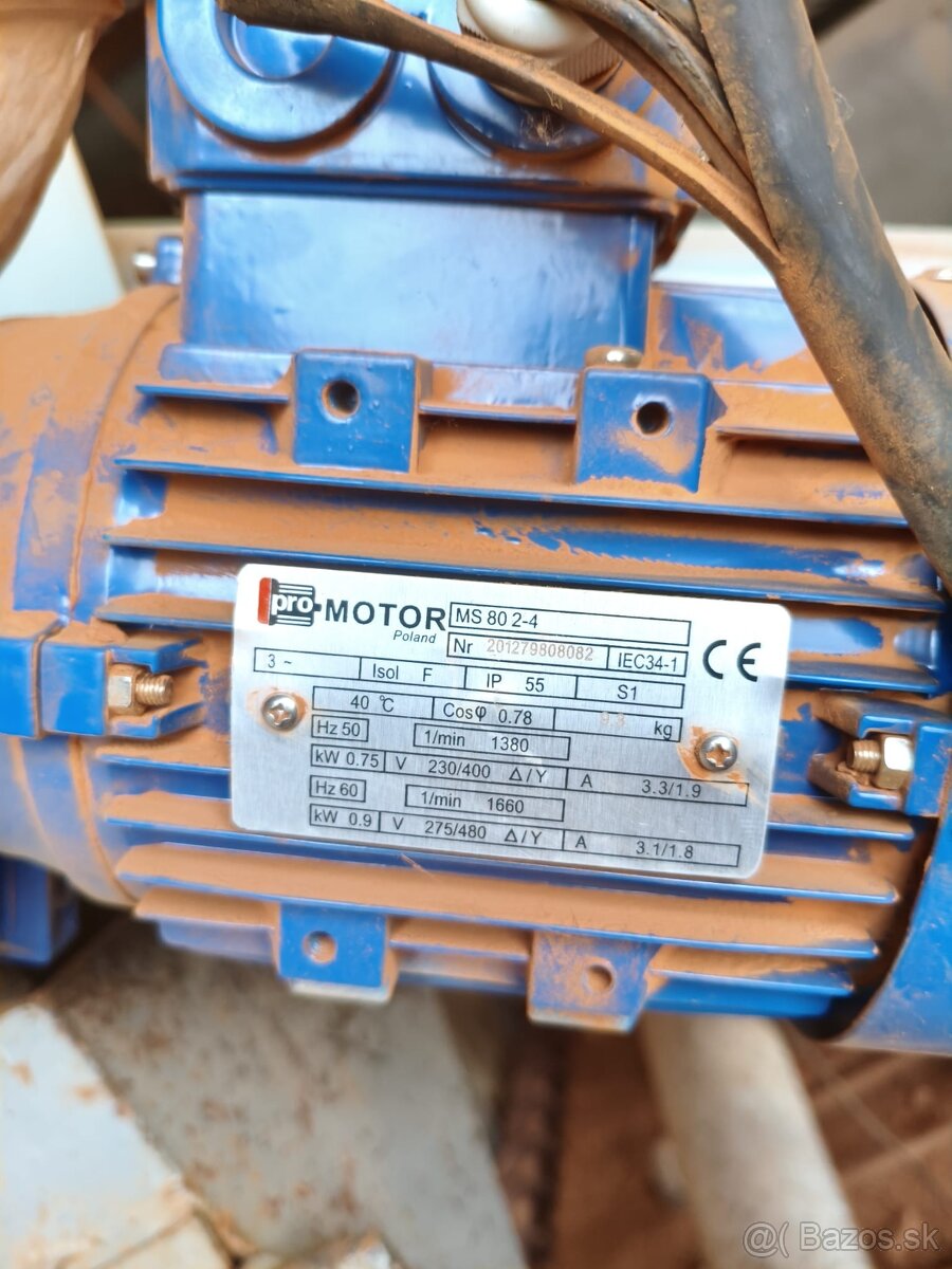 Kladivkovy šrotovnik - 5