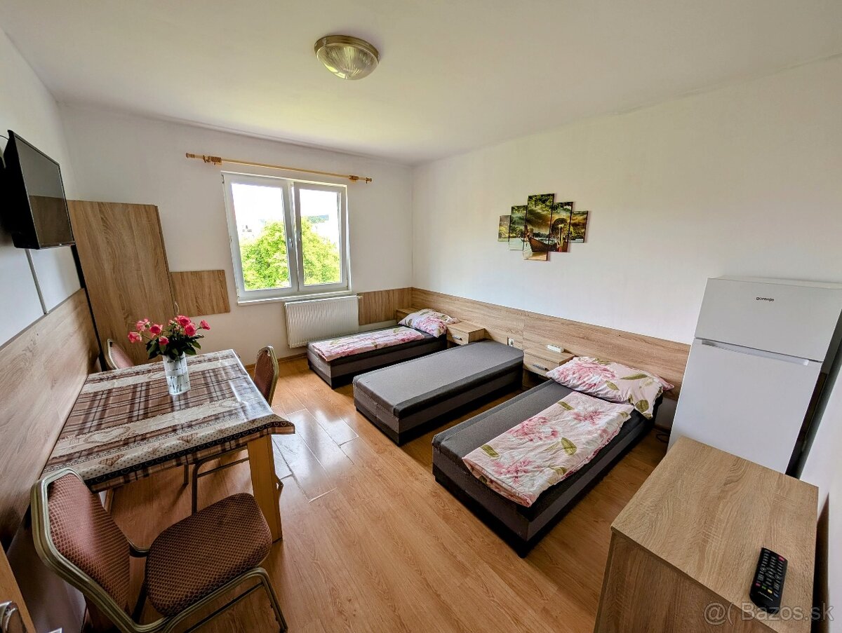 Ubytovanie Dolné Vestenice - 5