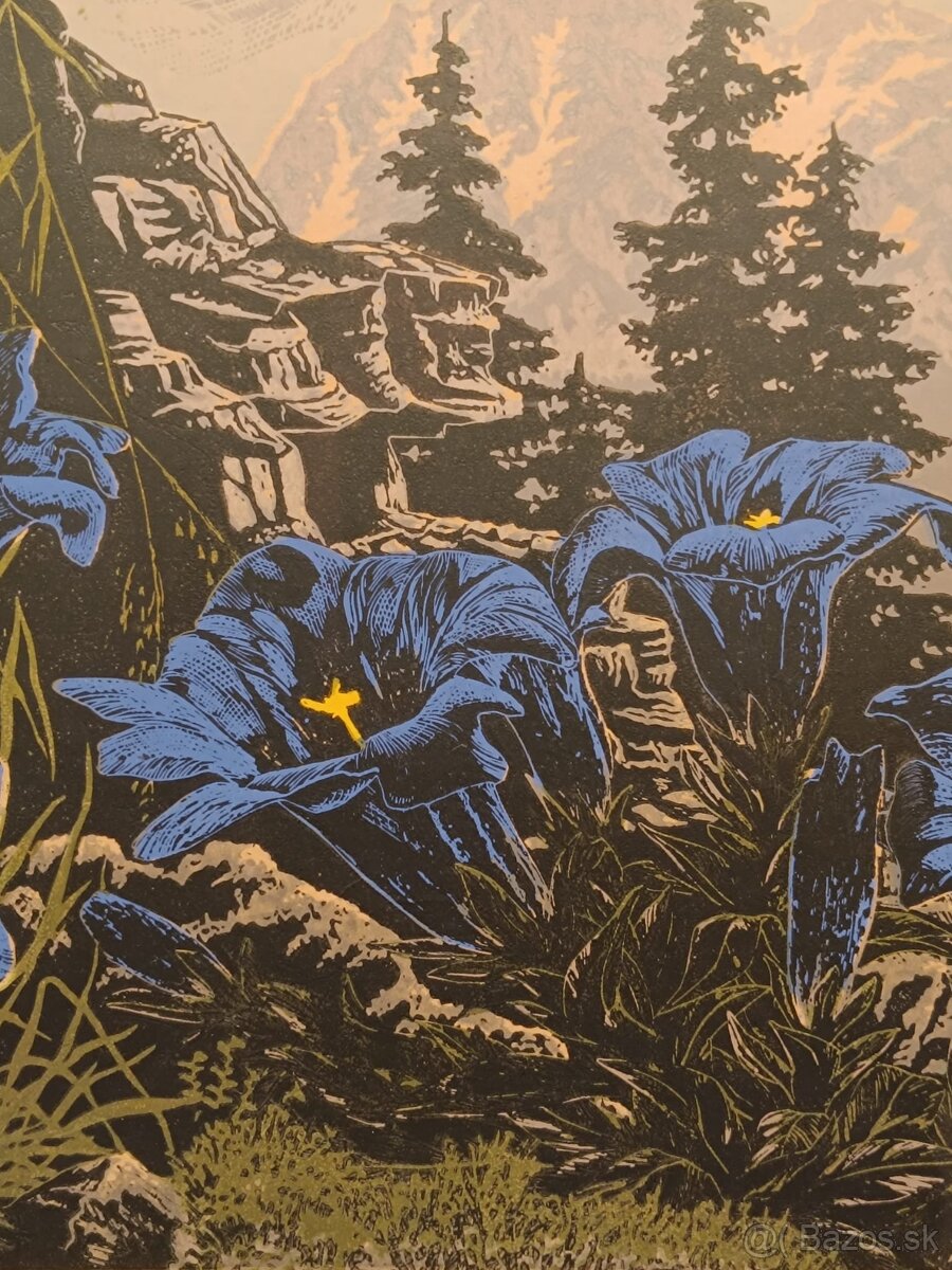 Obraz Tatranský horec 1971, 44x103 - 5