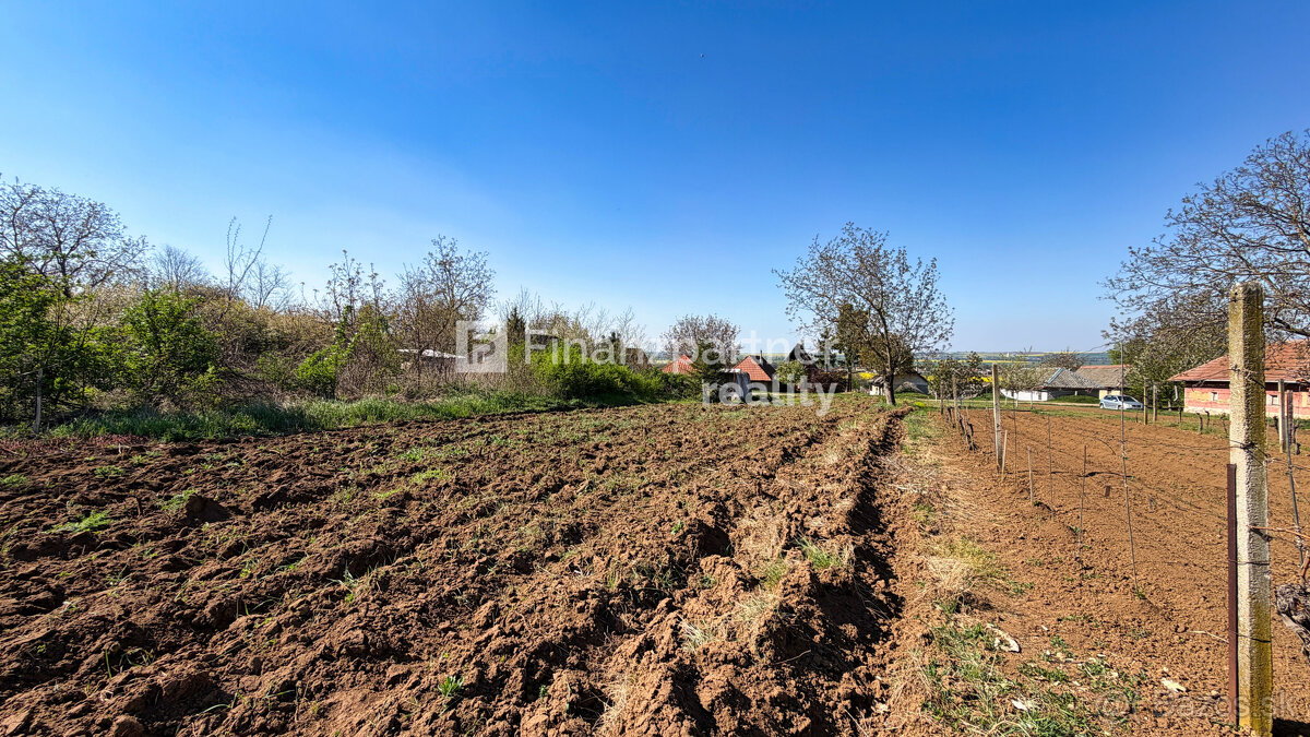 Záhrada 2190 m², Čechynce, Nitra - 5