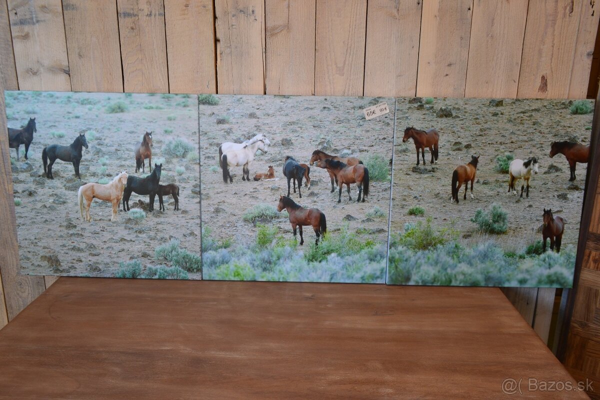 dekoracne obrazy - 5