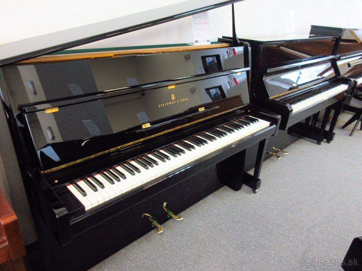 luxusný Steinway and Sons pre solventných - 5