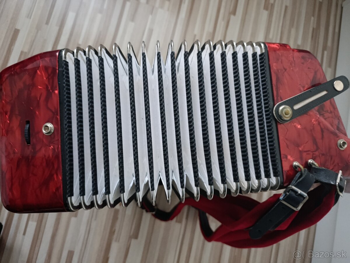 Delicia Carmen 96 basov, Top stav - 5