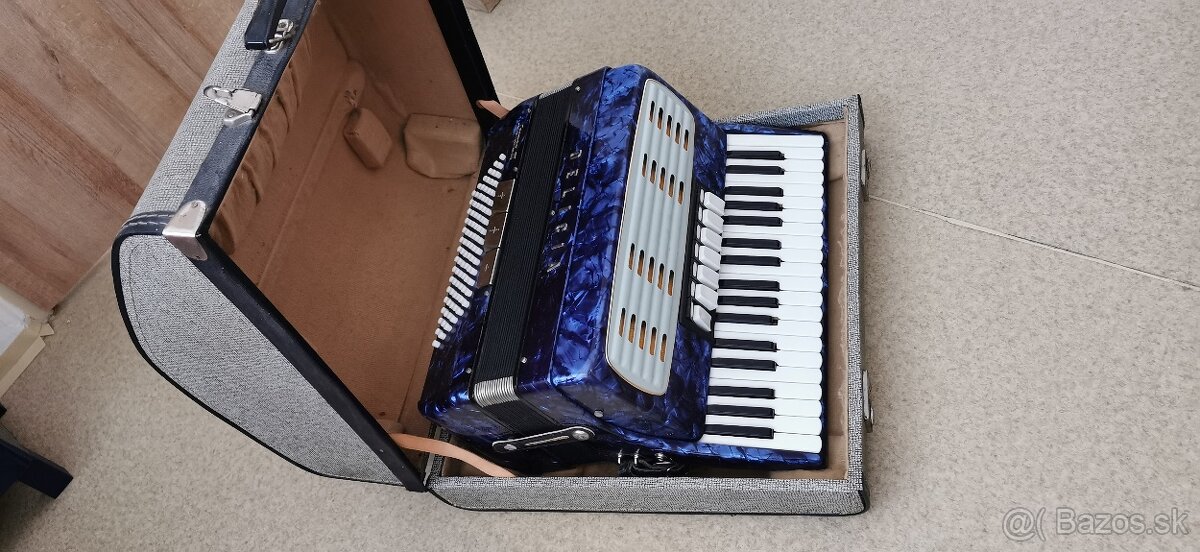 Akordeón Delicia - 5