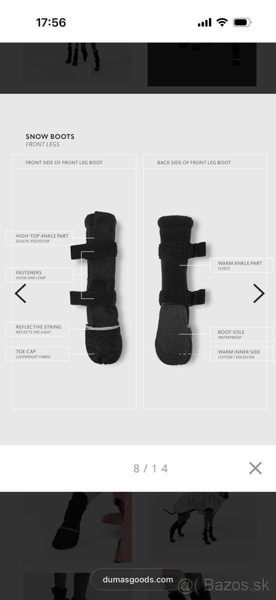 Zimne topanky taliansky chrtik - 5