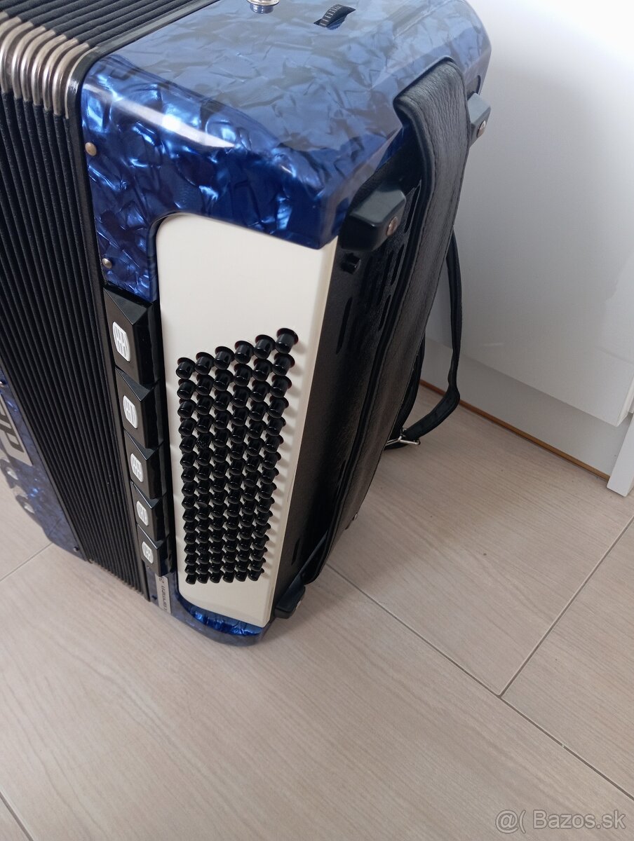 Akordeon delicia - 5