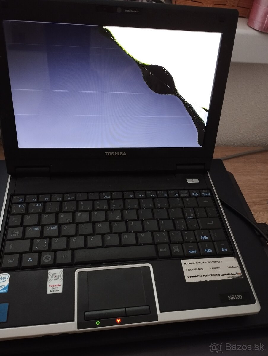Toshiba NB 100 - 5