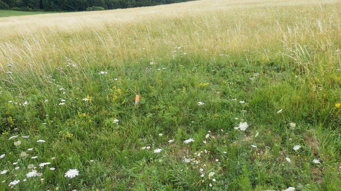 Exkluzívne na predaj – stavebný pozemok v Blatnici, časť Seb - 5