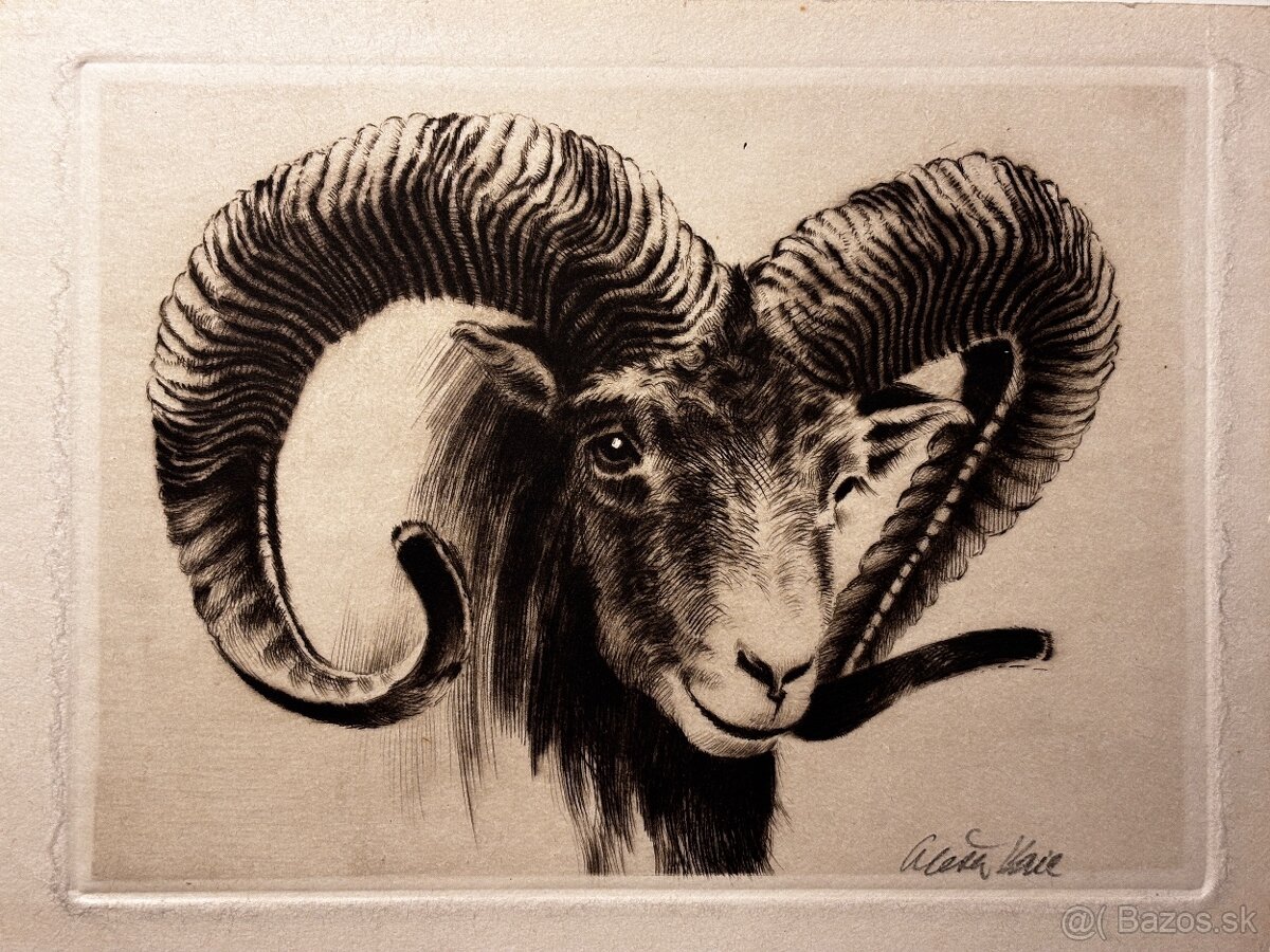 Aleš Vaic - lovecka tematika - 5