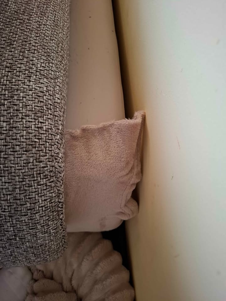 Darujem sedačku za odvoz - 5