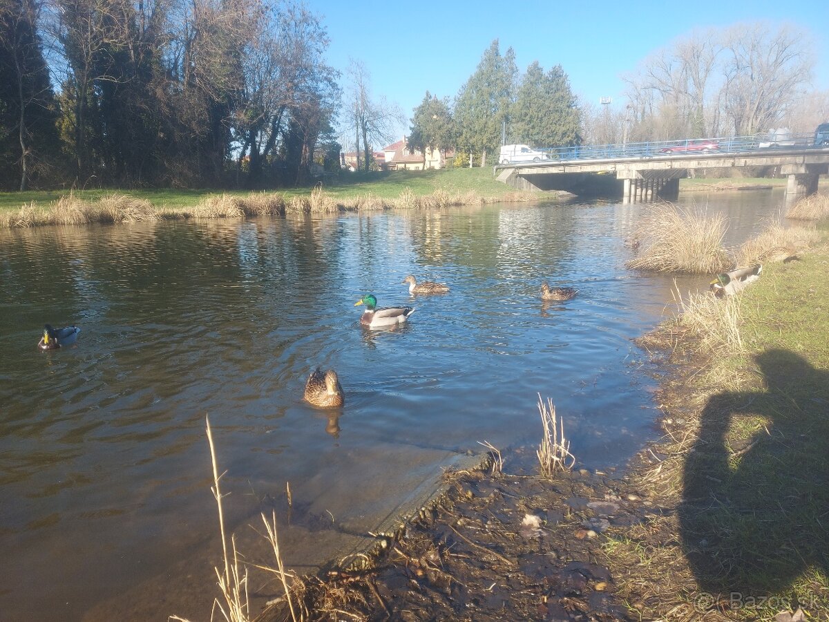 Pozemok na predaj v obci Vrakùň - 5