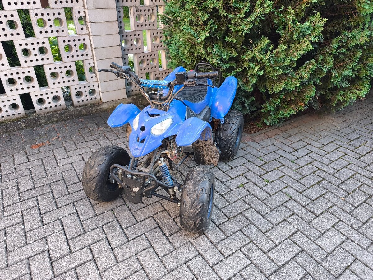 ATV 110