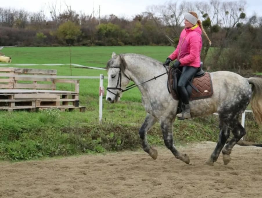 Valach do PRENÁJMU - 5