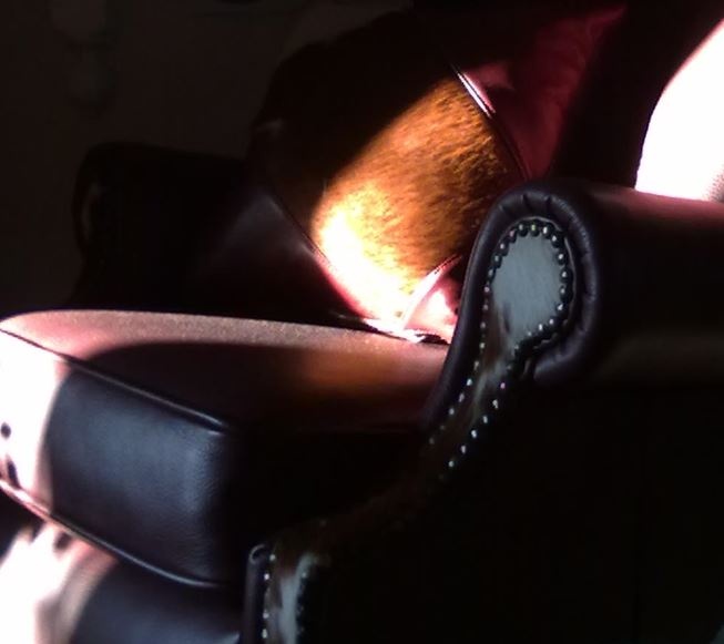 High Back Recliner - 5