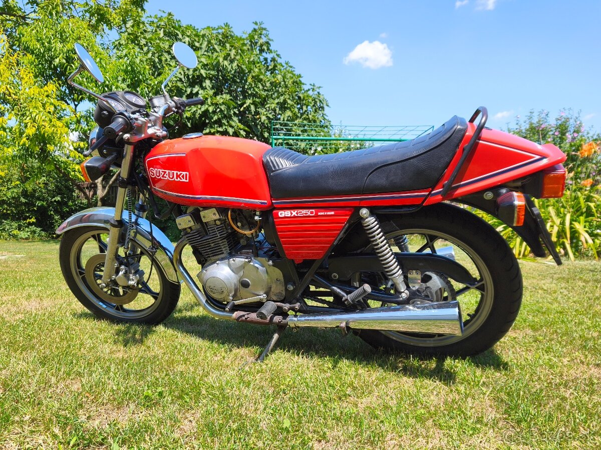 Suzuki gsx 250 - 5