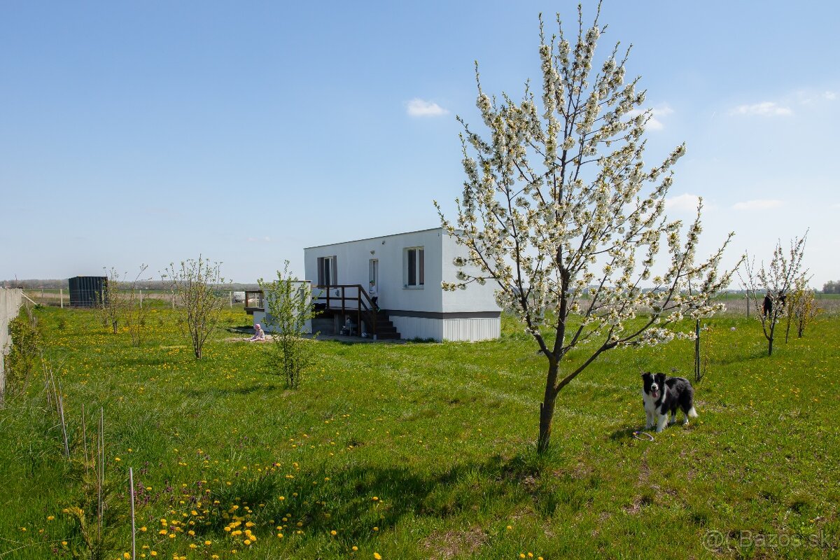 Záhrada 2253 m2 v Čunove s obytným domčekom - 5